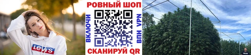 Хочу наркоту Кедровый Галлюциногенные грибы  СК  Амфетамин  МАРИХУАНА  Cocaine 