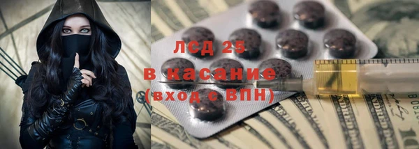 сатива Зерноград