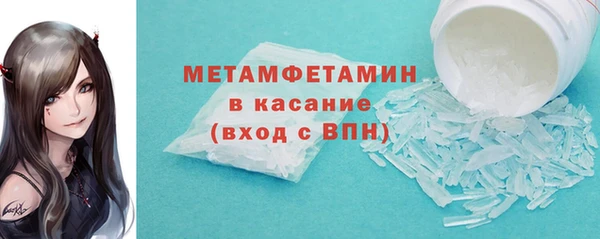 сатива Зерноград