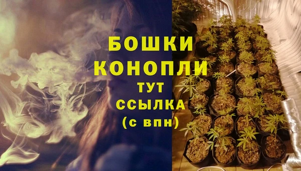 СК Заводоуковск