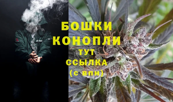 PSILOCYBIN Зеленокумск