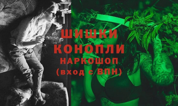 СК Заводоуковск